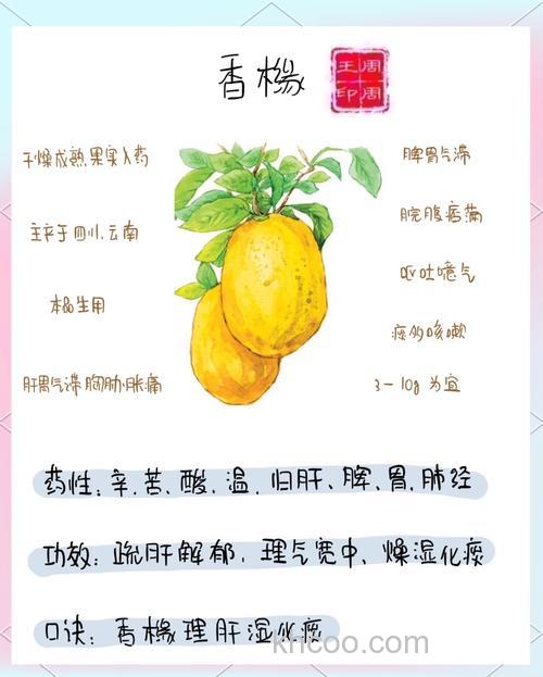 麝香果酸最佳搭配？