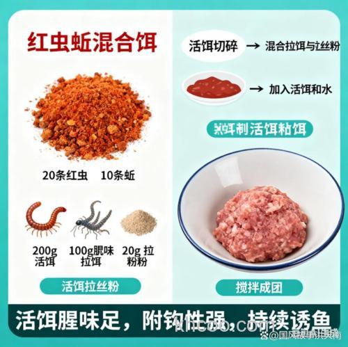 东北鲤鱼用什么饵料最好？