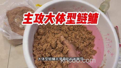 鲢鳙饵料加白醋效果好吗？
