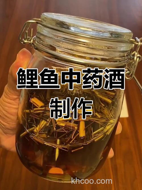 秘制鲤鱼药酒北方专用