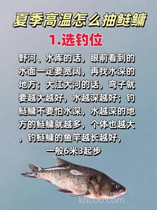 为什么夏天容易钓鲢鳙？