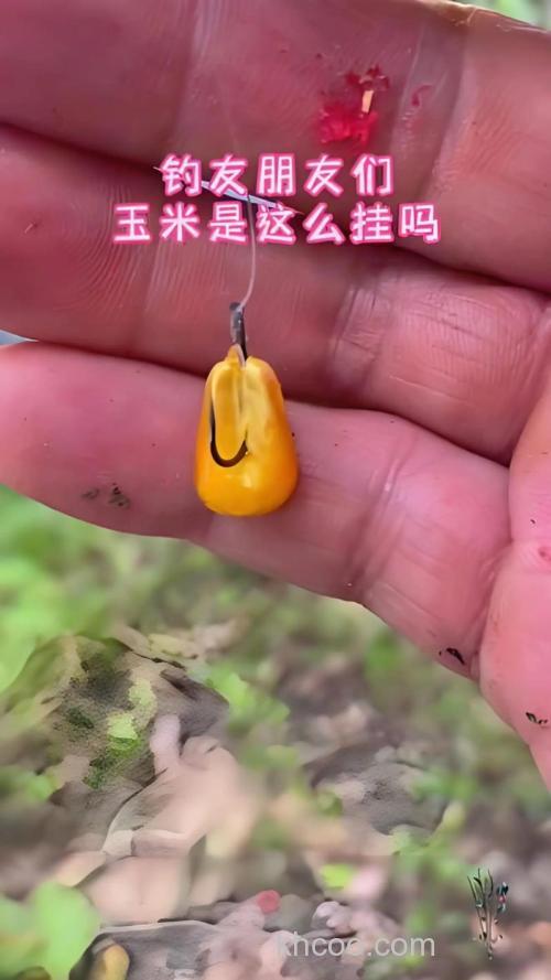 钓鱼老包谷了如何开制