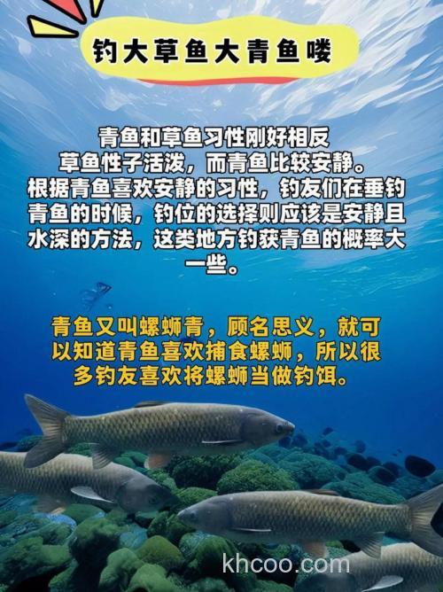 丸九荒食和无双可以钓草鱼青鱼吗？