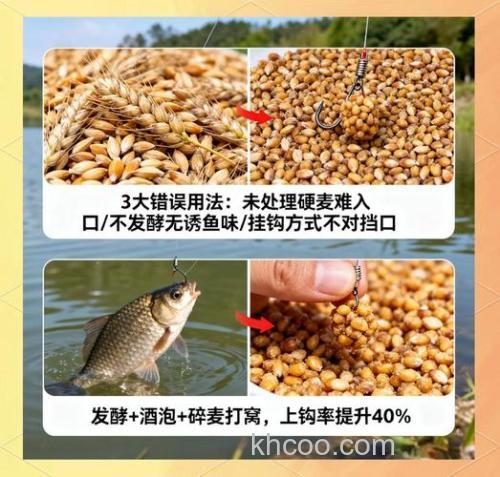 用麦子钓鲫鱼技巧口诀？