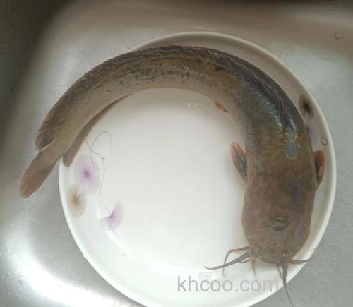 八须鲢鱼的钓法？