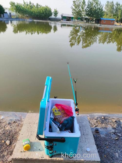 鲤鱼料浮钓鲢鳙效果好吗?