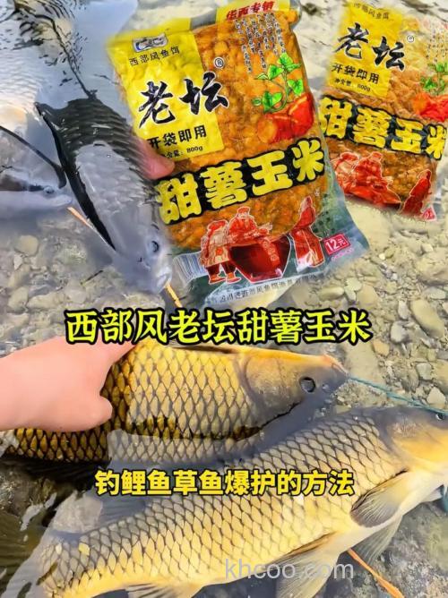 鲤鱼爱吃红薯还是玉米？