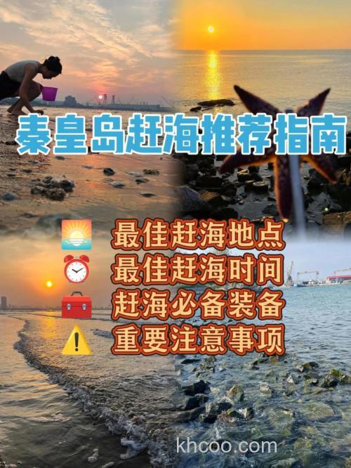 海钓赶海技巧：如何选择最佳时机与钓点？掌握潮汐，安全又丰收
