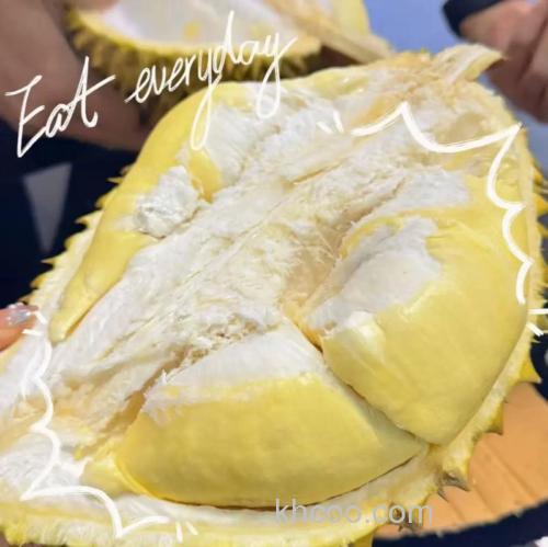 金鱼榴莲是什么品种？