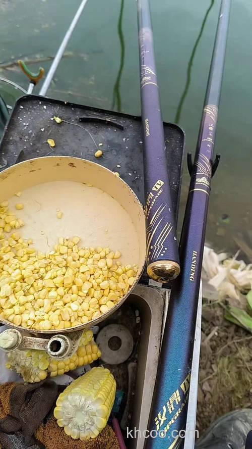 玉米钓翘嘴漂相是什么样的？