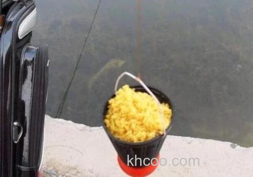 冬季不钓鲫鱼钓鳊鱼