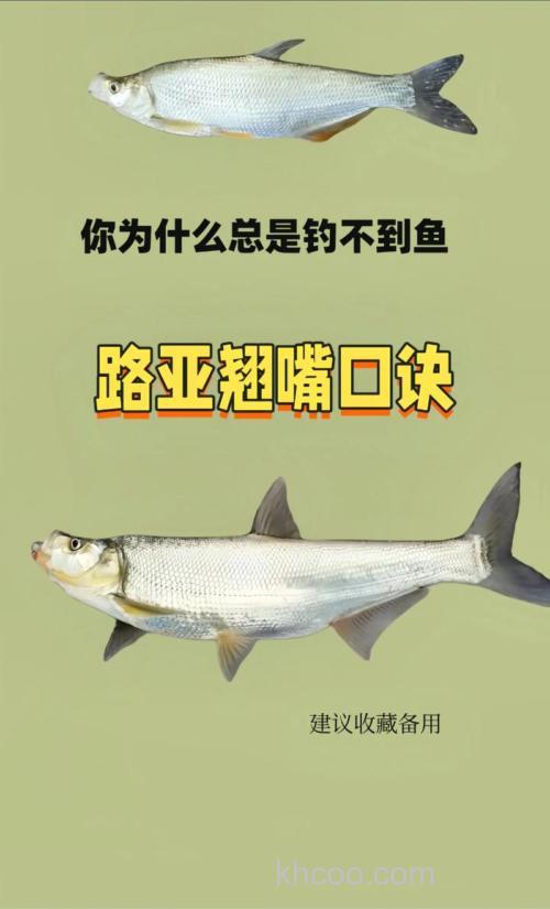 钓翘嘴十句口诀有哪些？