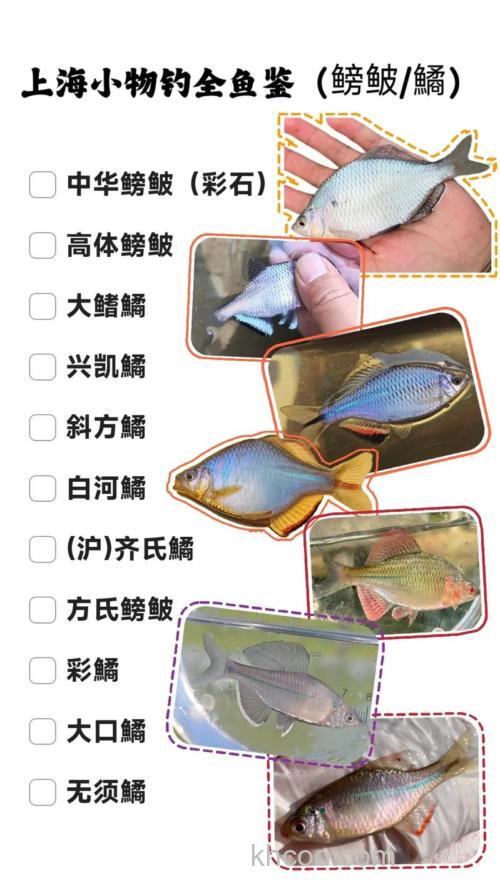 鳑鲏鱼几月份最好钓？