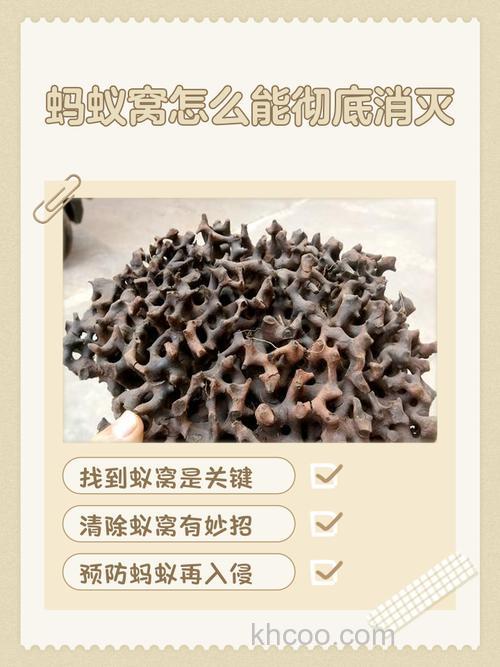 一个窝子可以用两种饵料吗？