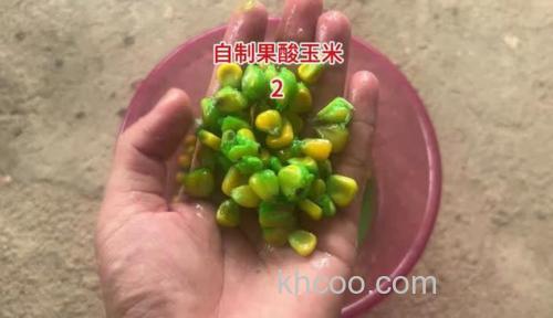 自制草鱼果酸？