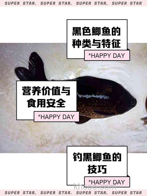 黑坑口稀，4小时才钓十来条鲫鱼，原因何在？