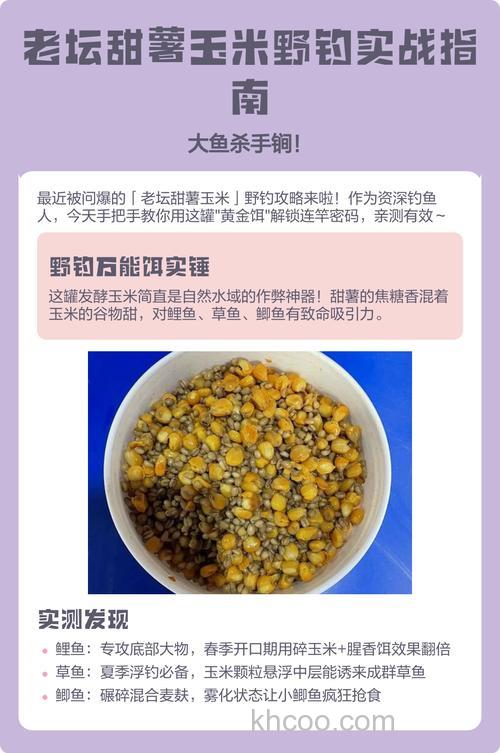 夏季野钓鲫鱼可以用甜薯玉米吗？