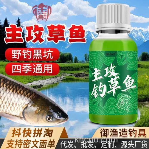 黑坑放草鱼多久开口吃饵