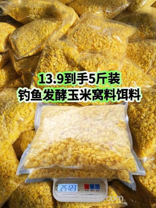 干玉米怎样发酵钩鱼？