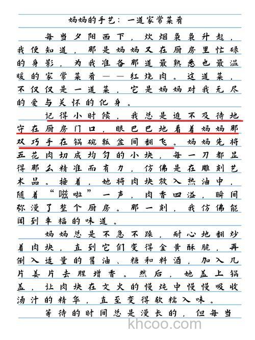 急求作文:妈妈的手艺