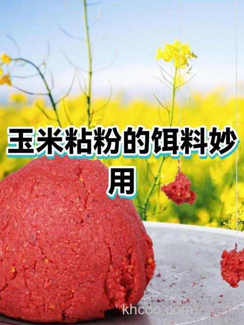 玉米粉最佳饵料配方？