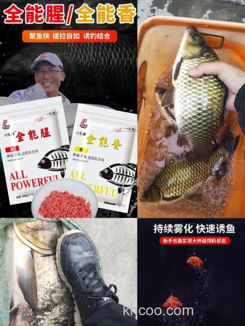 刘志强冬天钓鲑鱼饵料搭配？