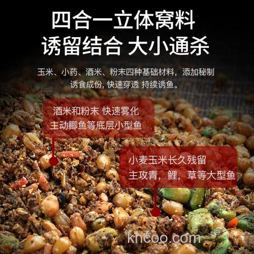 中秋北方钓鲤鱼窝料？