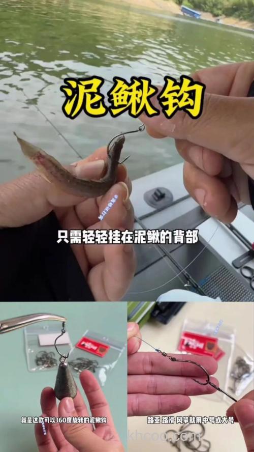 泥鳅钓翘嘴鱼的技巧和方法有哪些？