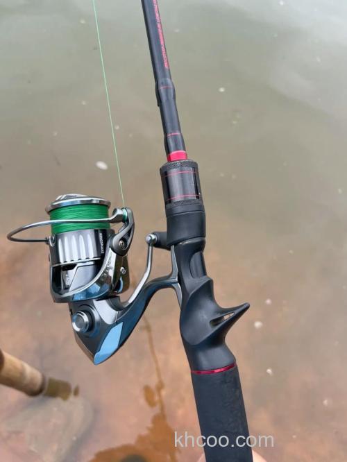 路亚纺车轮钓鲤鱼用什么饵？