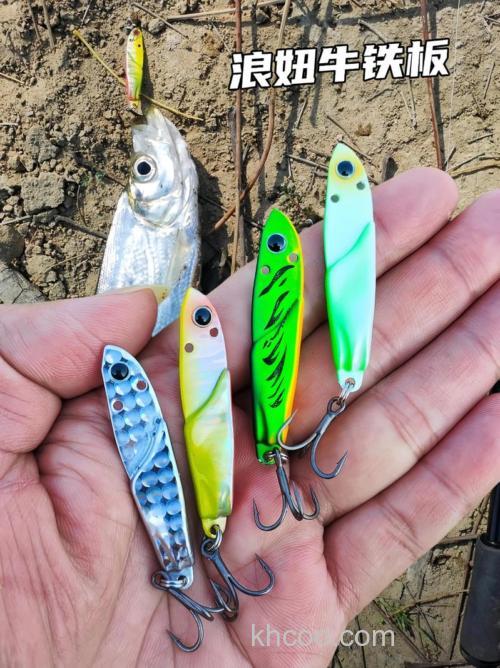 路亚浪大用什么鱼饵？