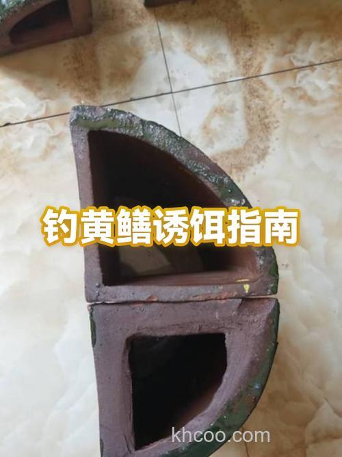 钓黄鳝全攻略：最低温度与最佳起始月份揭秘