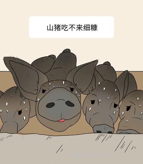 野猪喜欢酒糟吗？