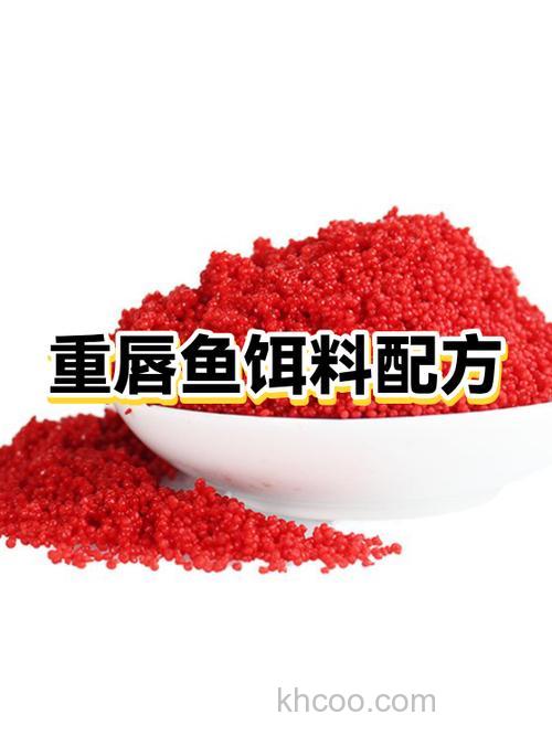 钓鲤鱼 麦麸和曲酒怎么调