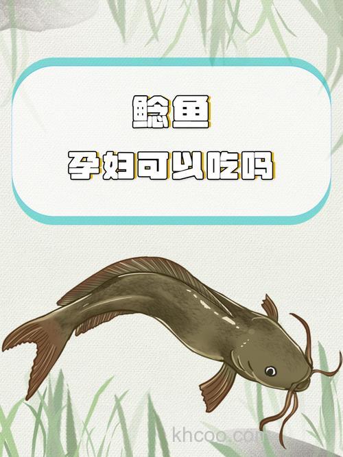 鲶鱼吃玉米秸秆吗？