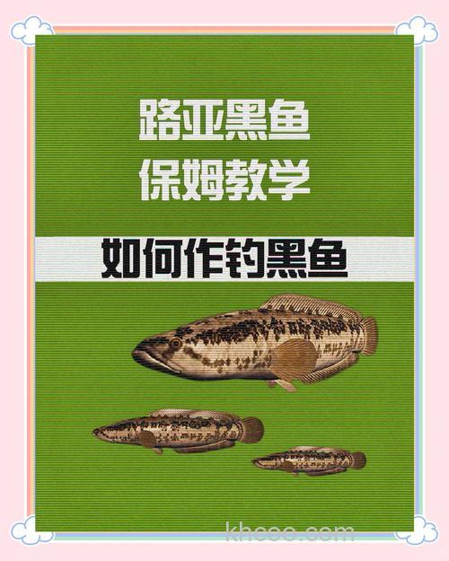 怎样钓黑鱼最过瘾？