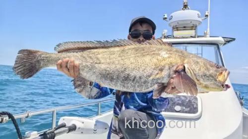 钓鱼大锋子是哪里人?