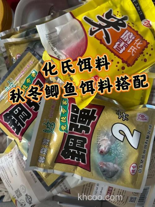 秋季初冬黑坑钓大鲫鱼时用什么味型的饵料