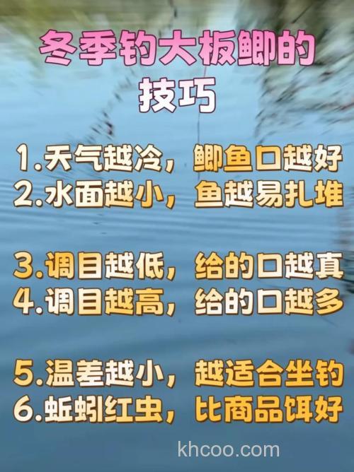 冬季野钓大板鲫有什么技巧？