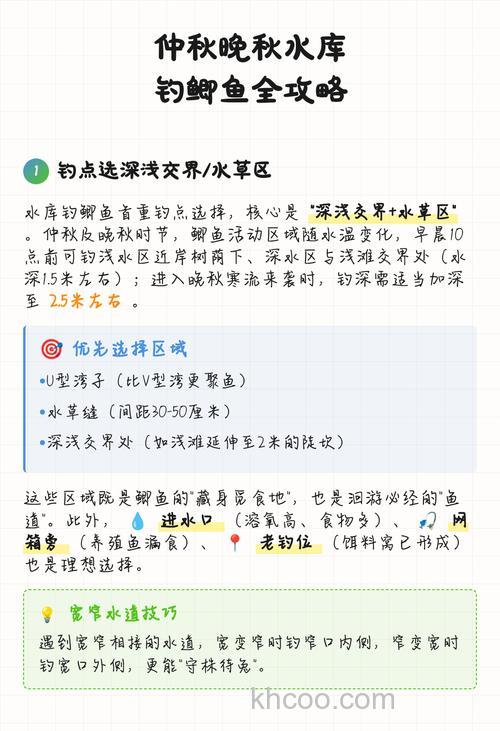 仲秋如何钓鲫鱼？