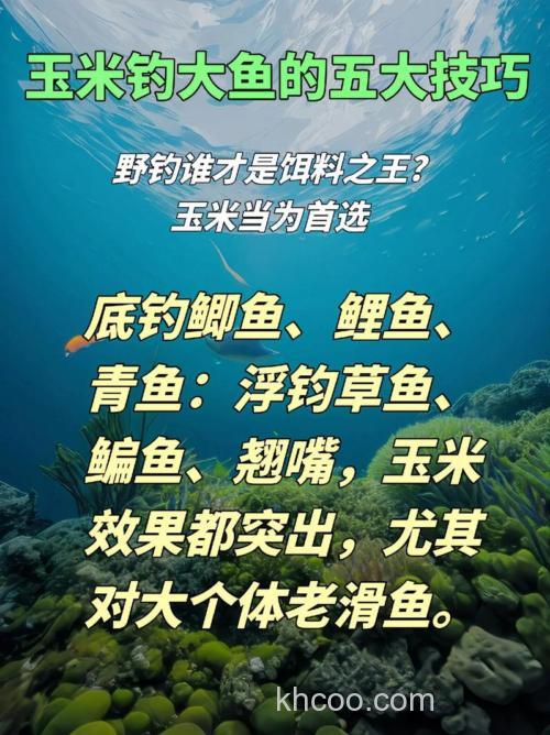 五月份用玉米钓鱼行吗？