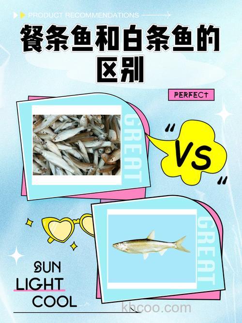 分不清餐条鱼和白条鱼？一文带你看懂两者区别！