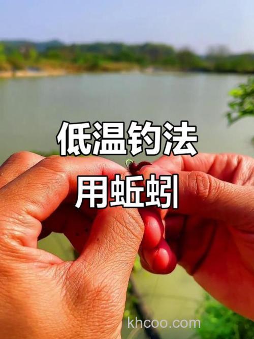 天冷了用蚯蚓好吗？