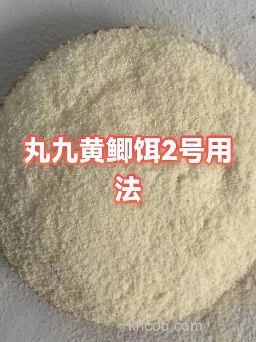 丸九黄鲫怎么用