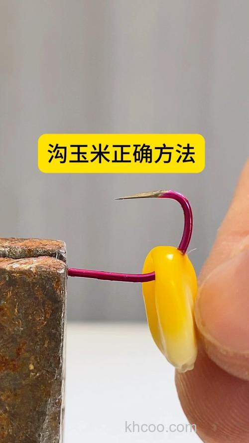 翻板钩钓鲢鳙有没必要挂上玉米？