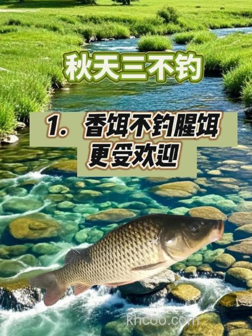 秋天如何钓鱼最好?