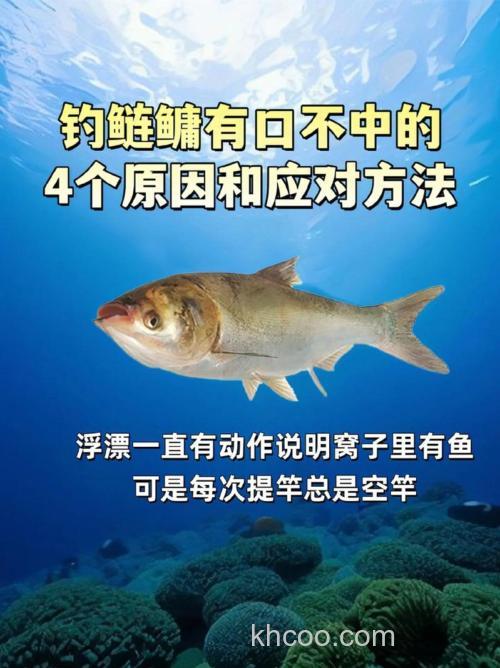 手竿钓鲢鳙：细分4个原因，避免有口不中鱼的提空竿