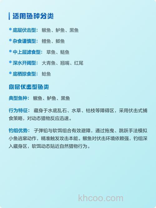 德州钓组适用鱼种全解析，钓鱼新手必看！