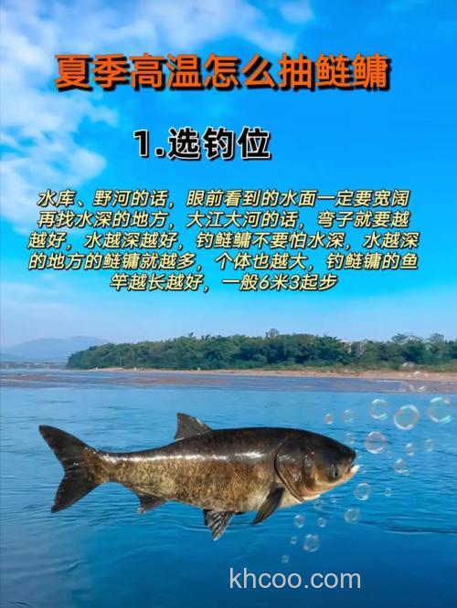 苹果酸钓鲢鳙可以吗？