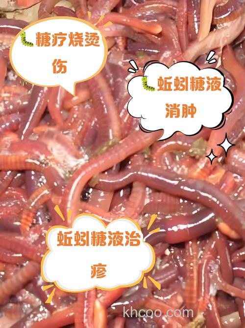 蚯蚓加糖溶化成液体后作为鱼饵比较好用吗？