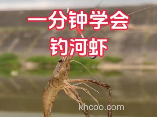 钓龙虾有什么技巧啊？